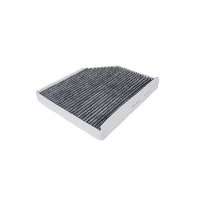 OEM 8K0819439 8K0819439A Cabin Filter Activate Carbon Filter For Golfs